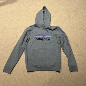 Men’s Patagonia Gray Hoodie Size S